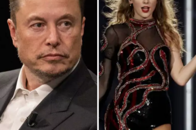 SHOCK: Elon Musk Tweeted a Disturbing S**ual Comment to, Apparently, Taylor Swift