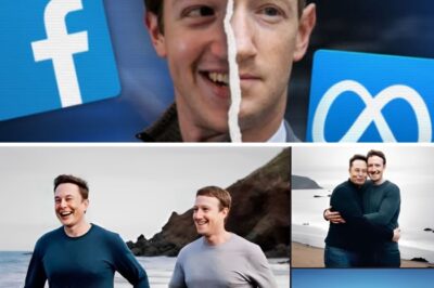 Meta’s Dirty Secret: How Mark Zuckerberg Stole Millions of Books for AI