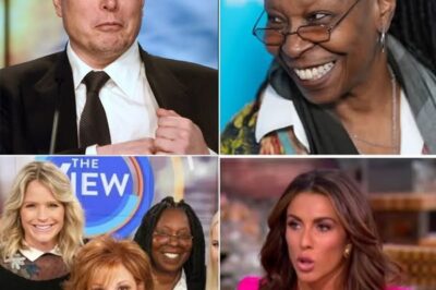 Elon Musk called for a BOYCOTT of The View, calling it a ”meeting place for stupid women” The entire cast immediately responded angrily. (DG)
