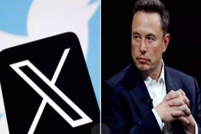 The world owes Elon Musk an apology: X is revalued at over $44 billion, about to pay off debt, reports $1.2 billion in profit, creating an unimaginable miracle (NG)