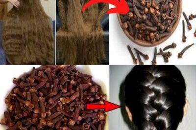 Boost Your Natural Hair Growth with Cloves is Easy as Pie with DIY Recipes /d