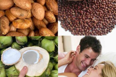 Natural Hydration and Wellness: The Power of Bitter Kola, Coconut Water, and Alligator Pepper