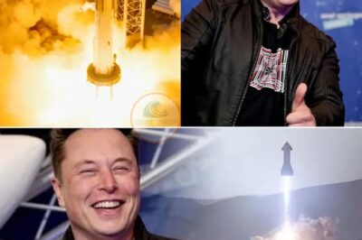 Billionaire Elon Musk and the ‘strange’ hobby: Buying rockets without blinking, the more money you shop, the more money pours in (NG)