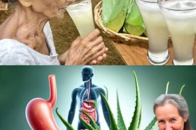 11 Amazing Benefits of Drinking Aloe Vera Water Daily