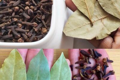 This Natural Antibiotic Is 200 Times Stronger – Cloves, Cinnamon, and Bay Leaves!