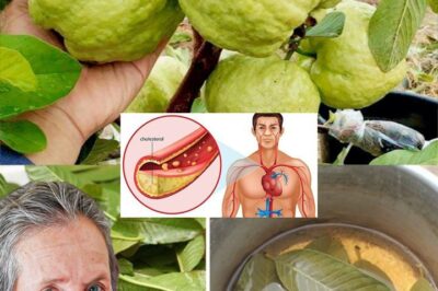 The Ultimate Healthy Drink After Meals: A Natural Boost for Digestion, Immunity, and Detoxification
