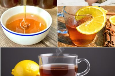 The Ultimate Natural Elixir for Energy, Vitality, and Wellness