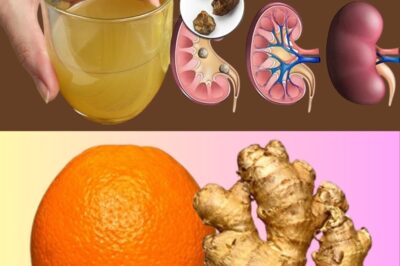 Detox Your Kidneys, Liver, and Lungs Naturally: A Simple Guide to Better Health