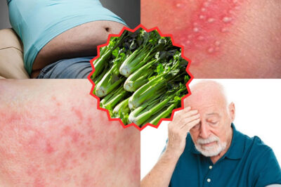 Apium Graveolens: The Scientific Power Behind Celery and Its Incredible Benefits (NH)