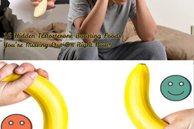 16 Instant Testosterone Boosting Foods That You Are Not Eating! (NH)