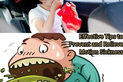 Effective Tips to Prevent and Relieve Motion Sickness (NH)