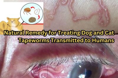 Natural Remedy for Treating Dog and Cat Tapeworms Transmitted to Humans: A Powerful Herbal Solution (NH)