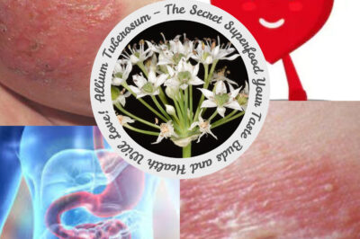 Allium Tuberosum – The Secret Superfood Your Taste Buds and Health Will Love! (NH)