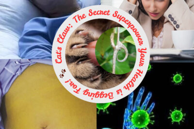 Cat’s Claw: The Secret Superpower Your Health is Begging For! (NH)
