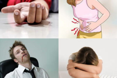 Don’t Be Foolish: Avoid These Foods Before Bed If You Don’t Want to Shorten Your Life or Get Sick! (NH)