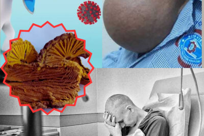 Fibraurea recisa – A Powerful Medicinal Plant with Remarkable Tumor-Fighting Properties and Holistic Health Benefits (NH)