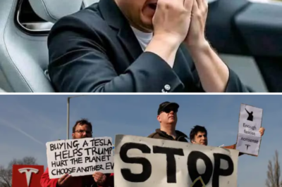 WHY IS ELON MUSK FACING A MASSIVE BOYCOTT? BILLIONAIRE UNDER FIR3!