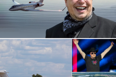 It has been rumored that Elon Musk intends to establish a private airport close to Austin, Texas. Let us examine the entrepreneur’s future plans.