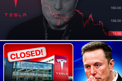 Elon Musk KINUMPIRMA: ‘Ang Tesla ay DØØMED – Hindi Kami Makakasurvive! Ang Tesla ay unti-unting bumabagsak, at kahit si Elon Musk ay tila alam ito. Tingnan ang mga detalye.