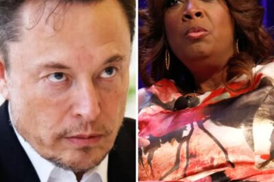 Star Jones Called Elon Musk “Stupid” on Live TV—Now She’s Facing a $20 Million Fine and a Career Crisis