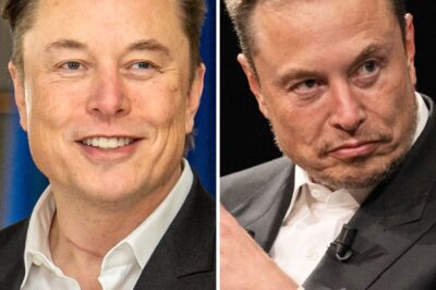 16 Good Reasons Why People Love to Hate Elon Musk. Do You Agree?