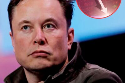 Elon Musk’s Wealth Takes a Tumble: Is $300 Billion Just the Beginning of a Bigger Loss?