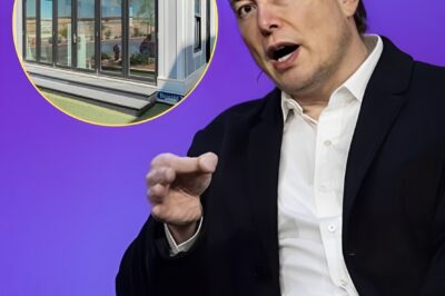 Touring Elon Musk’s $50,000 Tiny Home: A Glimpse Inside the Future of Living