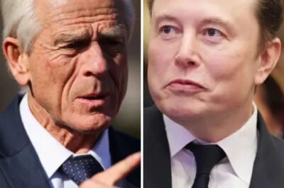 Elon Musk UNLOADS on Trump’s Trade Guru Peter Navarro, Calls Him ‘A Moron’ as Tariff Chaos Sends Markets Into FREEFALL!