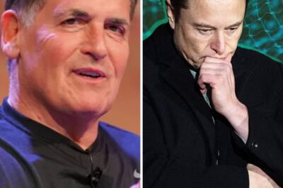 Mark Cuban Exposes Elon Musk’s Biggest Weakness – You Won’t Believe What It Is!