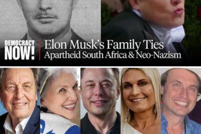 The Complicated Legacy of Elon Musk: A Deep Dive into His Roots and the Apartheid System