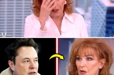 Joy Behar Declares Intent to Move to Canada: “I Refuse to Share a Sky with Him!” – Elon Musk Fires Back!