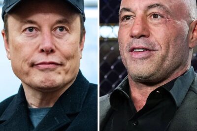 Elon Musk SHOCKS Joe Rogan: ‘I Tried To Warn You’ …