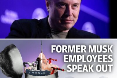 Inside Elon Musk’s War Room: Former Employees Expose the Ruthless Reality of Working for Tech’s Boldest CEO