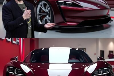 Elon Musk Confirms the Arrival of the 2025 Tesla Roadster – A New Era of Speed, Intelligence, and Power! 👇