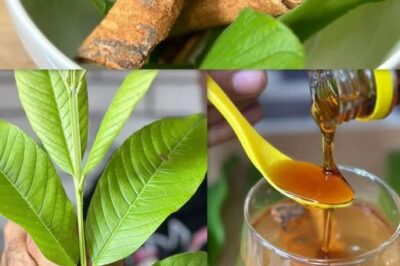 Grandma’s Infusion Cinnamon Guava Leaves /d