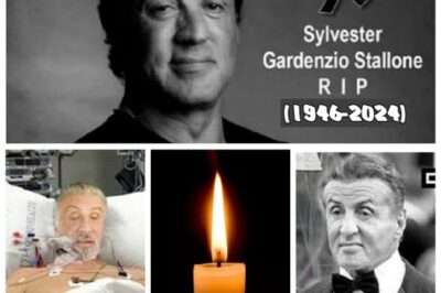 Breaking News: Hollywood announced about the Legendary actor Sylvester Stallone, He has been confirm as… (NG)