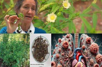 10 Benefícios Notáveis para a Saúde das Folhas de Pigweed que Você Precisa Conhecer./lo