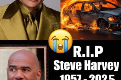 10 minutes ago / R.I.P TV icon Steve Harvey, Goodbye Steve Harvey…(NG)
