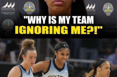 Angel Reese’s Career Hangs by a Thread After SHOCKING Betrayal from Chicago Sky – Here’s What Went Down! (an)