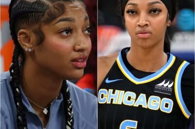 Angel Reese faces a hefty fine after calling for WNBA players to not participate in the 2025 season. Angel Reese’s career is at risk of ending permanently. /d