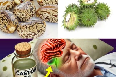 Castor Oil: Discover the Transformative Effects After Just 7 Days (an)