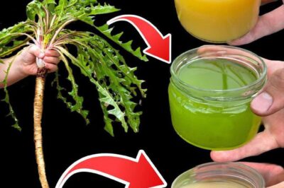 The Mighty Dandelion: Nature’s Hidden Treasure (an)