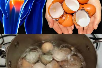 My Mom Could NOT Walk Due to Pain in Her Knees and Bones—Until She Tried This!  The Power of Eggshells! (an)