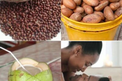 Natural Hydration and Wellness: Exploring Bitter Kola, Coconut Water, and Alligator Pepper /d