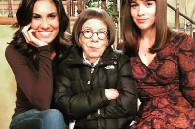 NCIS Confirms Return of Franchise Favorite – And It Could Finally Solve the ‘Hetty’ Mystery (NG)