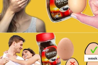 Unlocking the Benefits of Eggs and Coffee: A Nutritious and Energizing Duo! /lo