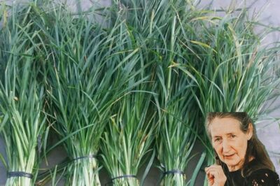 How Goose Grass Can Heal You: A Natural Remedy For Dozens Of Diseases./lo