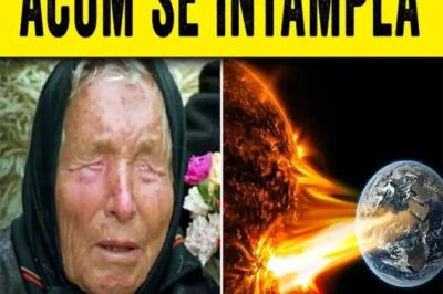 Nimeni nu s-ar fi așteptat la asta, Vezi în comentarii (NG)