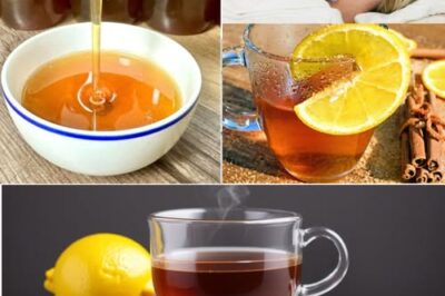 Cinnamon, Lemon, Ginger, and Honey: The Ultimate Natural Boost for Male Vitality /d