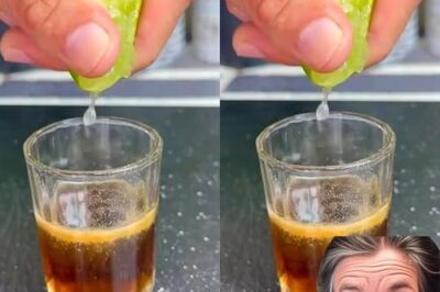 Boost Your Energy Like an 18-Year-Old with This Powerful Lemon and Honey Remedy /d